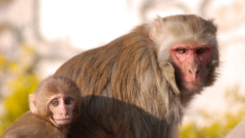 How Are You Dealing with Uncertainty?